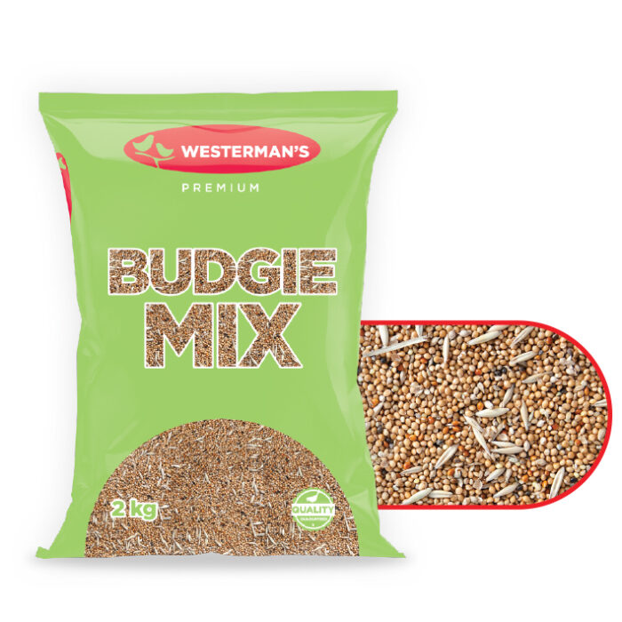 Budgie Mix