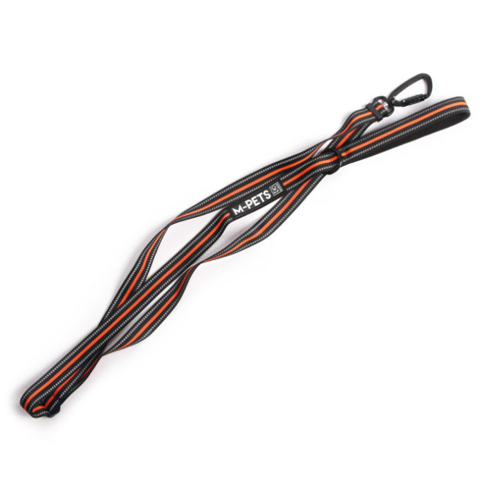 Hiking Leash Orange