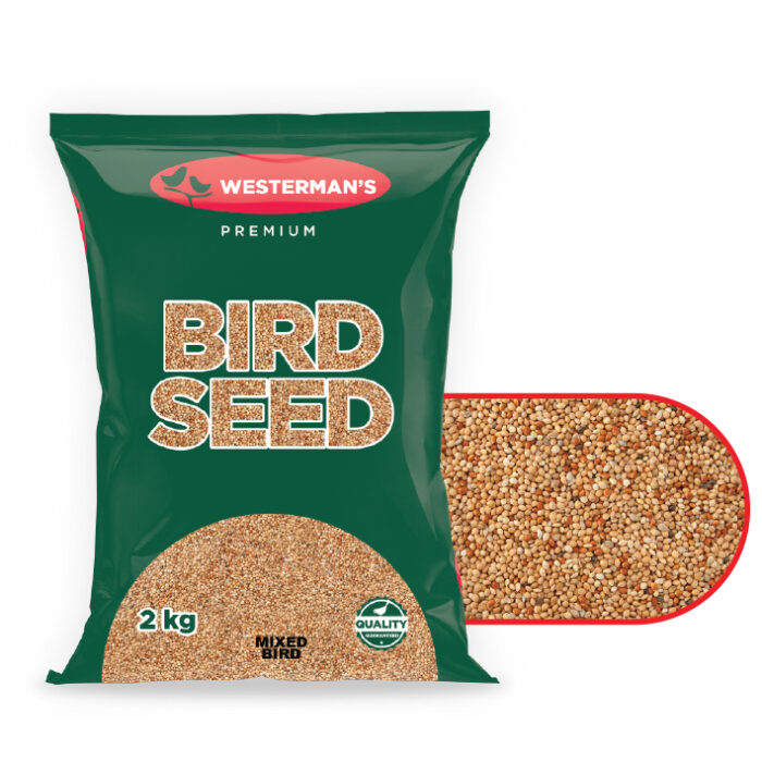 Mixed Bird