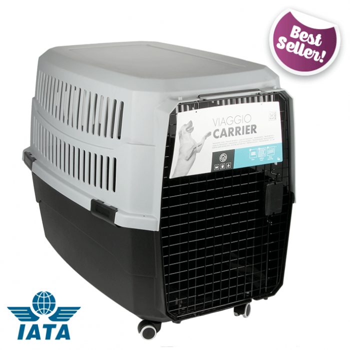 Viaggo Airline Carrier